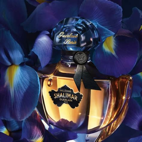 shalimar millésime iris guerlain.